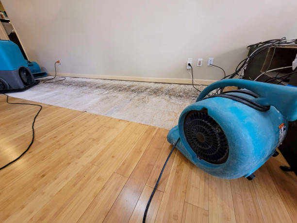 Professional Basement Flood Cleanup technician working in Rosemead, CA